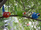 Resin Parrot Statue Wall Mounted DIY Outdoor Garden Tree Decoration Animal Sculpture For Home Office Garden Decor Ornament:
