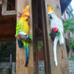 Resin Parrot Statue Wall Mounted DIY Outdoor Garden Tree Decoration Animal Sculpture For Home Office Garden Decor Ornament:
