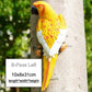 Resin Parrot Statue Wall Mounted DIY Outdoor Garden Tree Decoration Animal Sculpture For Home Office Garden Decor Ornament: