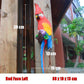 Resin Parrot Statue Wall Mounted DIY Outdoor Garden Tree Decoration Animal Sculpture For Home Office Garden Decor Ornament: