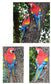 Resin Parrot Statue Wall Mounted DIY Outdoor Garden Tree Decoration Animal Sculpture For Home Office Garden Decor Ornament: