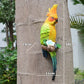 Resin Parrot Statue Wall Mounted DIY Outdoor Garden Tree Decoration Animal Sculpture For Home Office Garden Decor Ornament:
