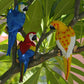 Resin Parrot Statue Wall Mounted DIY Outdoor Garden Tree Decoration Animal Sculpture For Home Office Garden Decor Ornament: