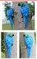 Resin Parrot Statue Wall Mounted DIY Outdoor Garden Tree Decoration Animal Sculpture For Home Office Garden Decor Ornament: