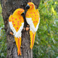 Resin Parrot Statue Wall Mounted DIY Outdoor Garden Tree Decoration Animal Sculpture For Home Office Garden Decor Ornament: