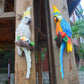Resin Parrot Statue Wall Mounted DIY Outdoor Garden Tree Decoration Animal Sculpture For Home Office Garden Decor Ornament: