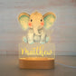 Personalized Children Animal Night Light Custom Name Acrylic Lamp: