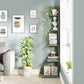 Tribesigns Corner Shelf, Modern 5-Tier Wall Corner Bookshelf, Stylish  Storage Rack Plant Stand