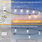 150FT LED Outdoor String Lights – ST38 Bulbs