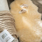 Soft Sheepskin Bedroom Carpet – Imitation Wool Pad with Long Hair:
