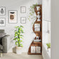 Tribesigns Corner Shelf, Modern 5-Tier Wall Corner Bookshelf, Stylish  Storage Rack Plant Stand