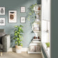 Tribesigns Corner Shelf, Modern 5-Tier Wall Corner Bookshelf, Stylish  Storage Rack Plant Stand