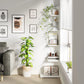 Tribesigns Corner Shelf, Modern 5-Tier Wall Corner Bookshelf, Stylish  Storage Rack Plant Stand